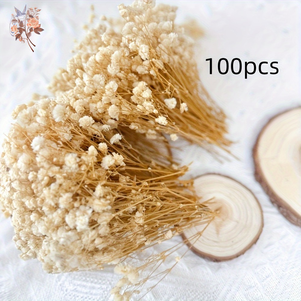 100個入りミニドライカスミソウ、レジン工芸DIY、家の装飾 - Embellish Craft のレビューと価格